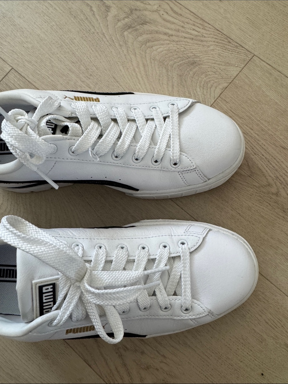Puma platform - Picture 4 of 9
